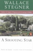 A_shooting_star