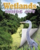 Wetlands_inside_out