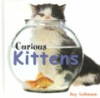 Curious_kittens