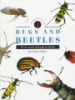Identifying_bugs_and_beetles