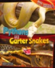 Pythons_and_garter_snakes