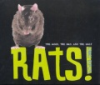 Rats_