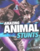 Amazing_animal_stunts