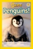Penguins_