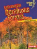 Let_s_visit_the_deciduous_forest