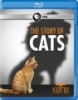 The_story_of_cats