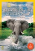 Secrets_of_the_African_wild
