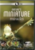 Nature_s_miniature_miracles