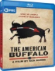 The_American_buffalo