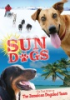 Sun_dogs