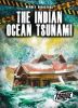 The_Indian_Ocean_Tsunami