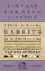 A_Guide_to_Keeping_Rabbits_on_a_Smallholding