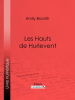 Les_Hauts_de_Hurlevent