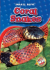 Coral_Snakes