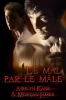 Le_mal_par_le_m__le