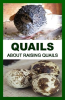 Quails__About_Raising_Quails