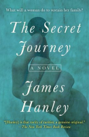 The_Secret_Journey