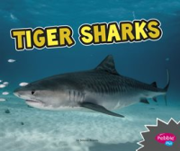 Tiger_Sharks