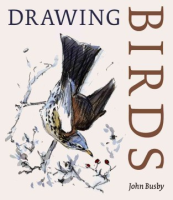 Drawing_birds