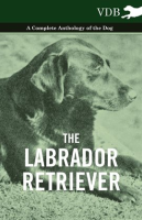 The_Labrador_Retriever