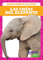 Las_cr__as_del_elefante__Elephant_Calves_
