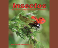 Insectos__Un_libro_de_comparaciones_y_contrastes