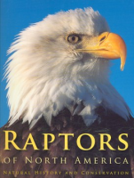 Raptors_of_North_America