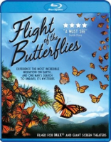 Flight of the butterflies