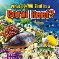 What_Do_You_Find_In_A_Coral_Reef_