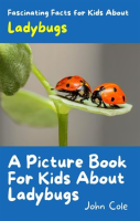 A_Picture_Book_for_Kids_About_Ladybugs