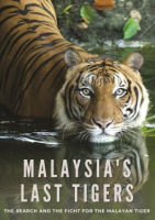 Malaysia_s_last_tigers