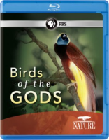 Birds_of_the_gods