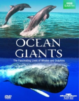 Ocean_giants