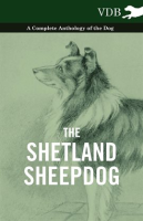 The_Shetland_Sheepdog