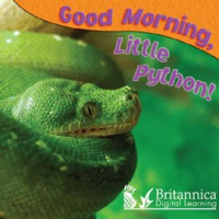 Good_Morning__Little_Python_