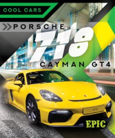Porsche_718_Cayman_GT4