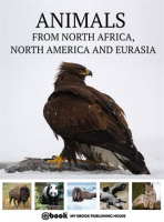 Animals_from_North_Africa__North_America_and_Eurasia