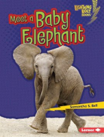 Meet_a_Baby_Elephant