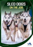 Sled_Dogs_on_the_Job