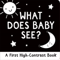 What_does_baby_see_