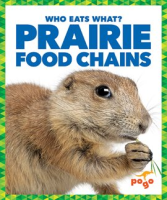 Prairie_Food_Chains