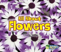 All_About_Flowers