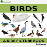 Birds__A_Kids_Picture_Book