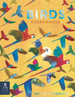 Birds_everywhere