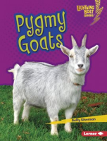 Pygmy_Goats
