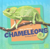 Get_to_know_chameleons