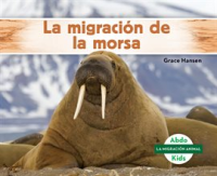 La_migraci__n_de_la_morsa__Walrus_Migration_