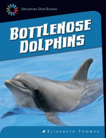 Bottlenose_Dolphins