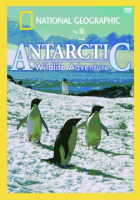 Antarctic_wildlife_adventure