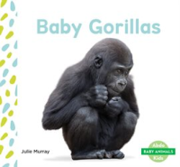Baby_Gorillas
